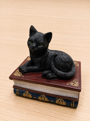 Black Cat Trinket Box On Antique Books Gothic Keepsake Chest