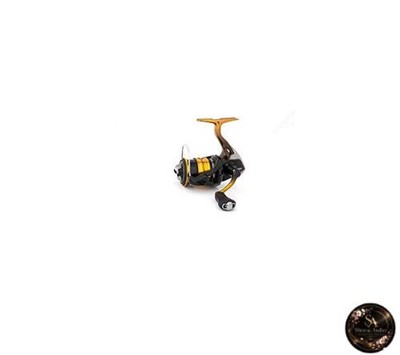 Shimano Spinnrolle Aging Mevering 18 Soare BB C2000SSPG