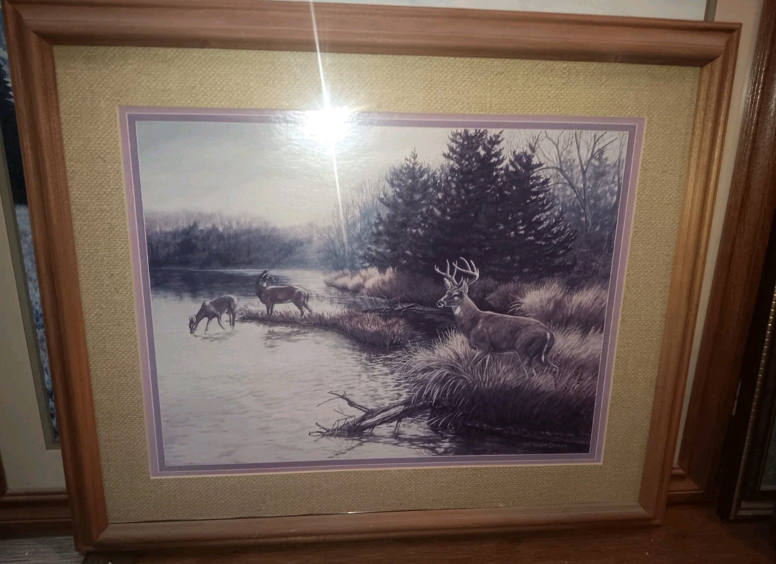 Bild 1 von 1