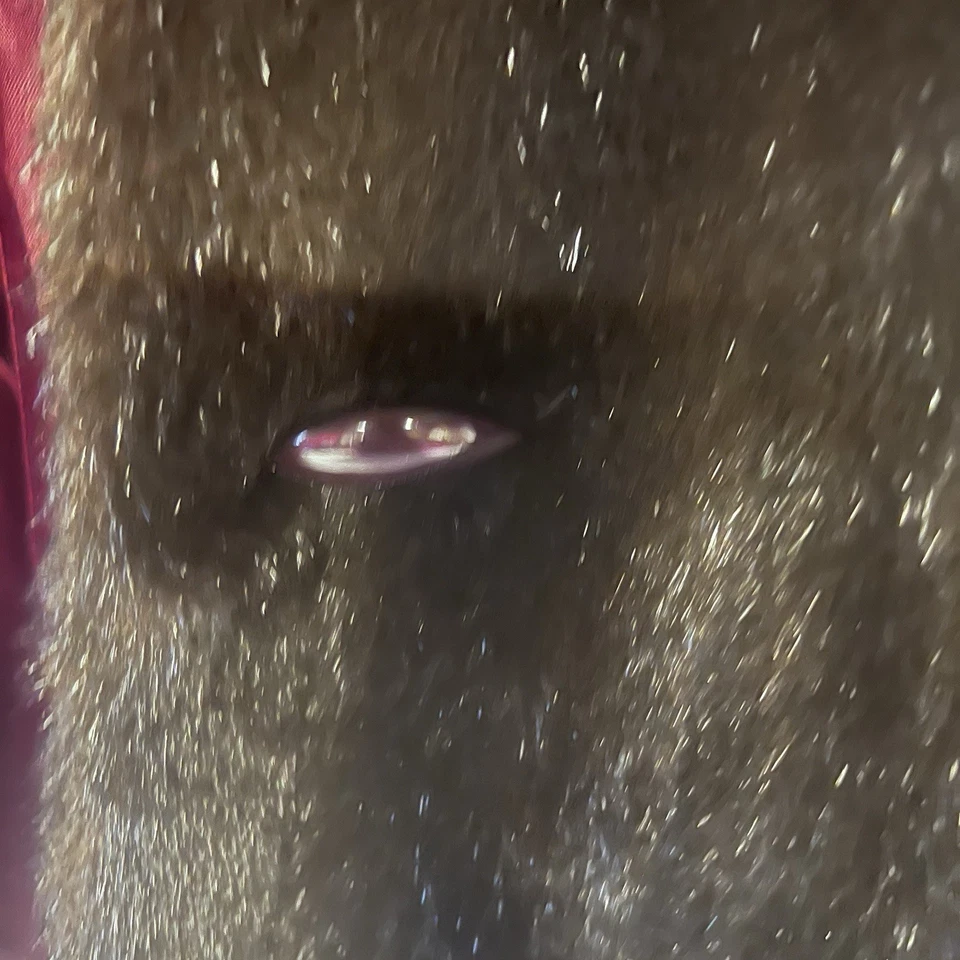 Chaqueta de piel de visón FAUX “Dubrowsky & Perlbinder” para mujer, talla XL Foto 2 de 4