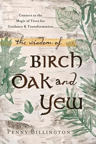 The Wisdom of Birch, Oak, and Yew: Connect to the Magic of Trees - Image 6