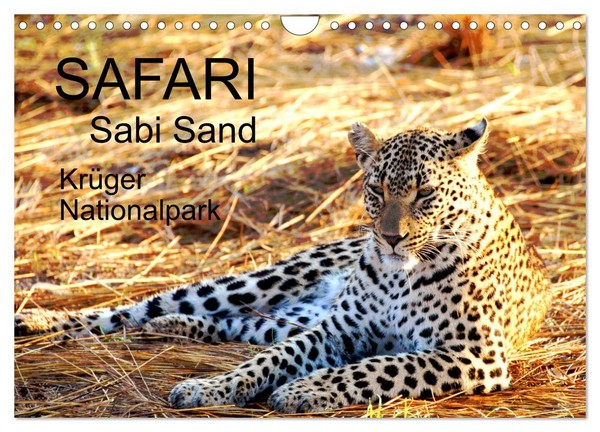 "Calendar 2027 · US Version · Safari / Africa (Wall Calendar 2027 12\" × 8\" Landsc"-image