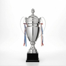 Lidded Award Trophy Decorative Metal Trophy with Handles Classic for Graduates