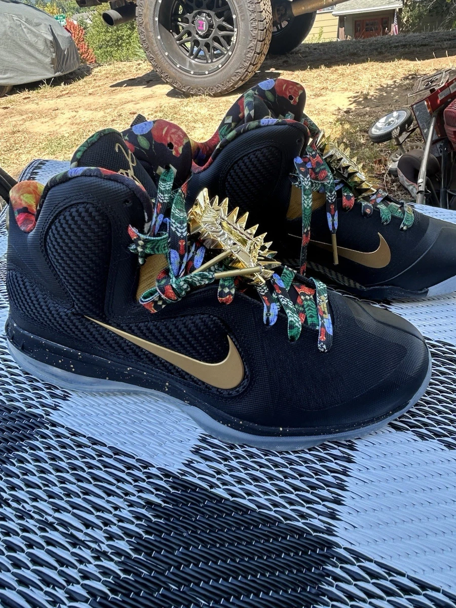 Nike LeBron 9 2022 Watch The Throne | eBay