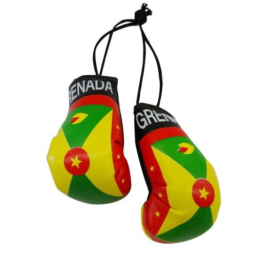 High Quality Country Flag MINI BOXING GLOVES - Rear View Mirror Gloves - New - Picture 62 of 134