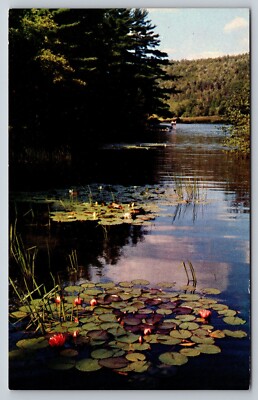 Postcard Vermont Ely Lake Fairlee Inlet 7H