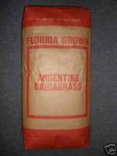 Argentine Bahia Pasture Grass