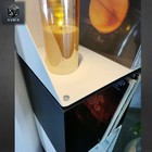 Foto 12 di 31
