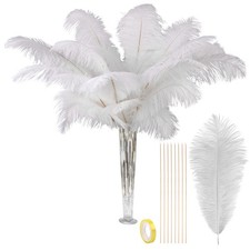 Natural White Large Ostrich Feathers 28 Inch Long Vase Craft Decor 10 PCS