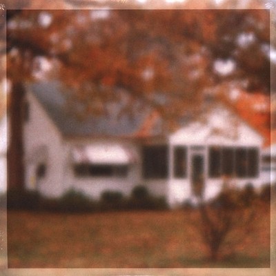 Lungfish - Rainbows From Atoms Orange Vinyl Edition (1993 - US - Reissue)