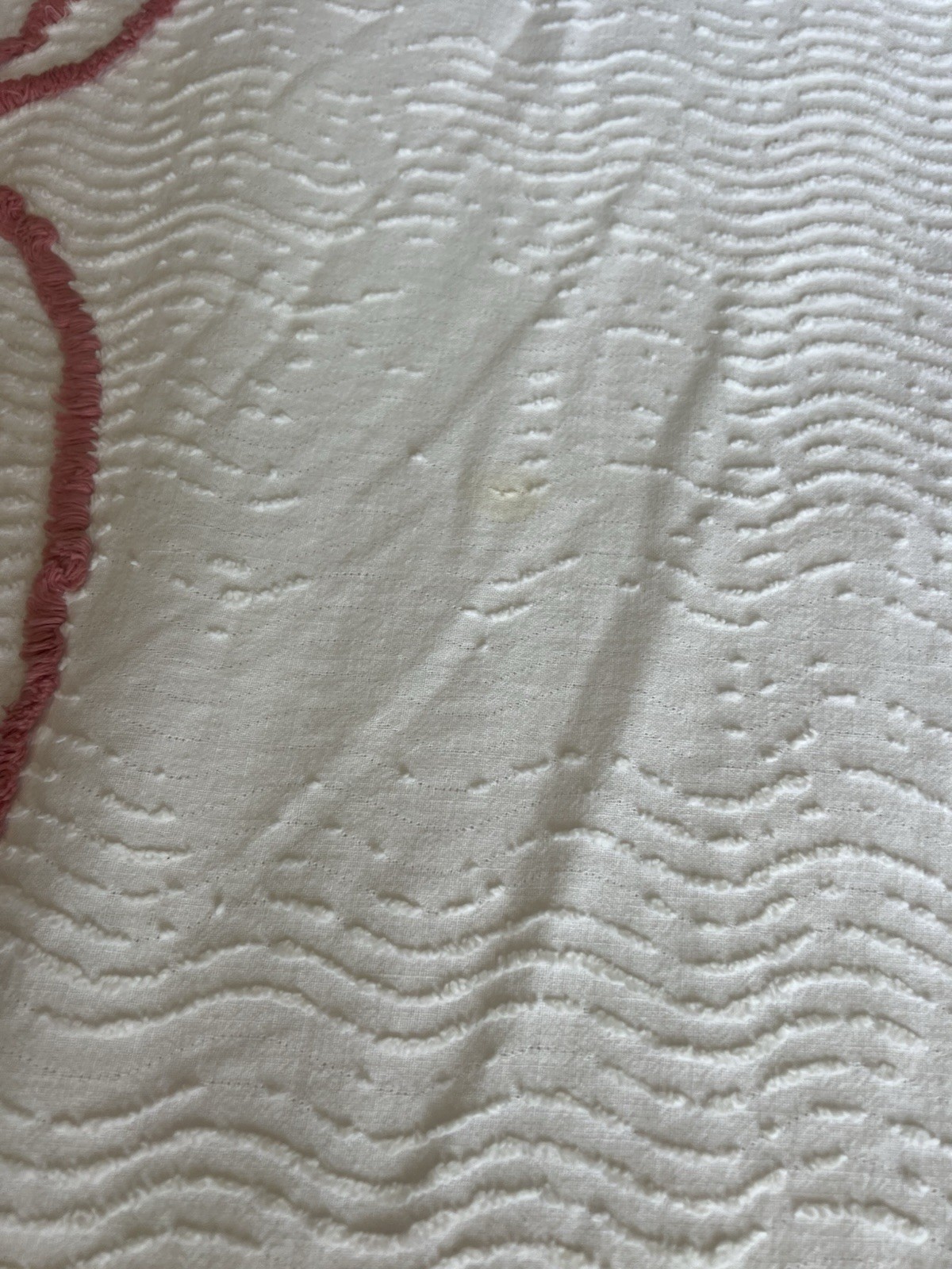 Picture 8 of 8