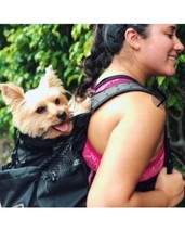 L.D. Dog Carrier Black Backpack Size Small
