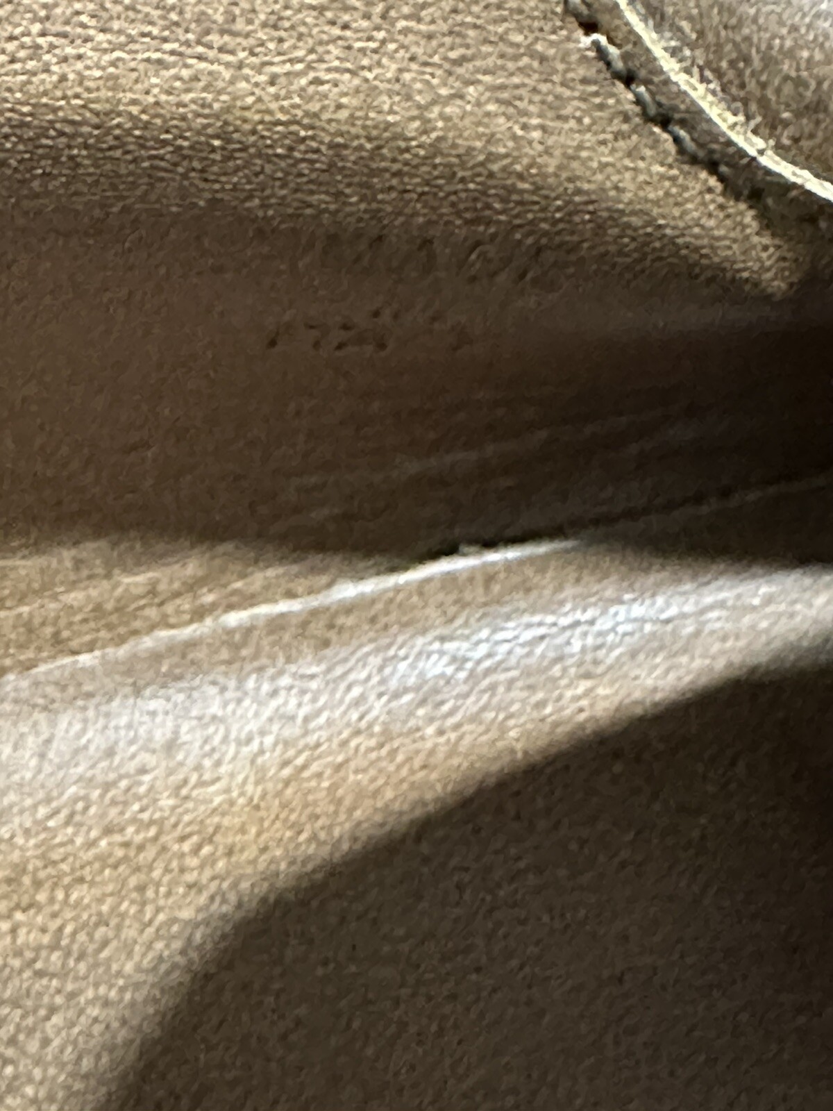 Picture 19 of 19