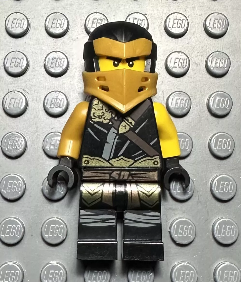Ninjago hero cole sales