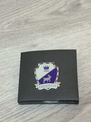 CS:GO Pin Serie 2 Cobblestone OHNE Code CSGO