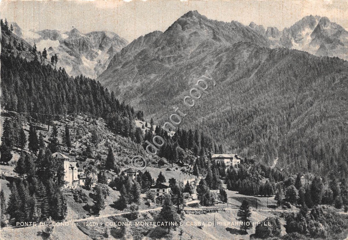 Cartolina - Ponte di Legno Colonia Montecatini Cassa di Risparmio PP LL