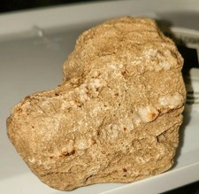 "The Snoopy Quartz" Unique Dog Head Shaped Speciman 