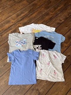 Girls Bundle Of T shirts (6) Various Brands Age 9/10 Years GS237