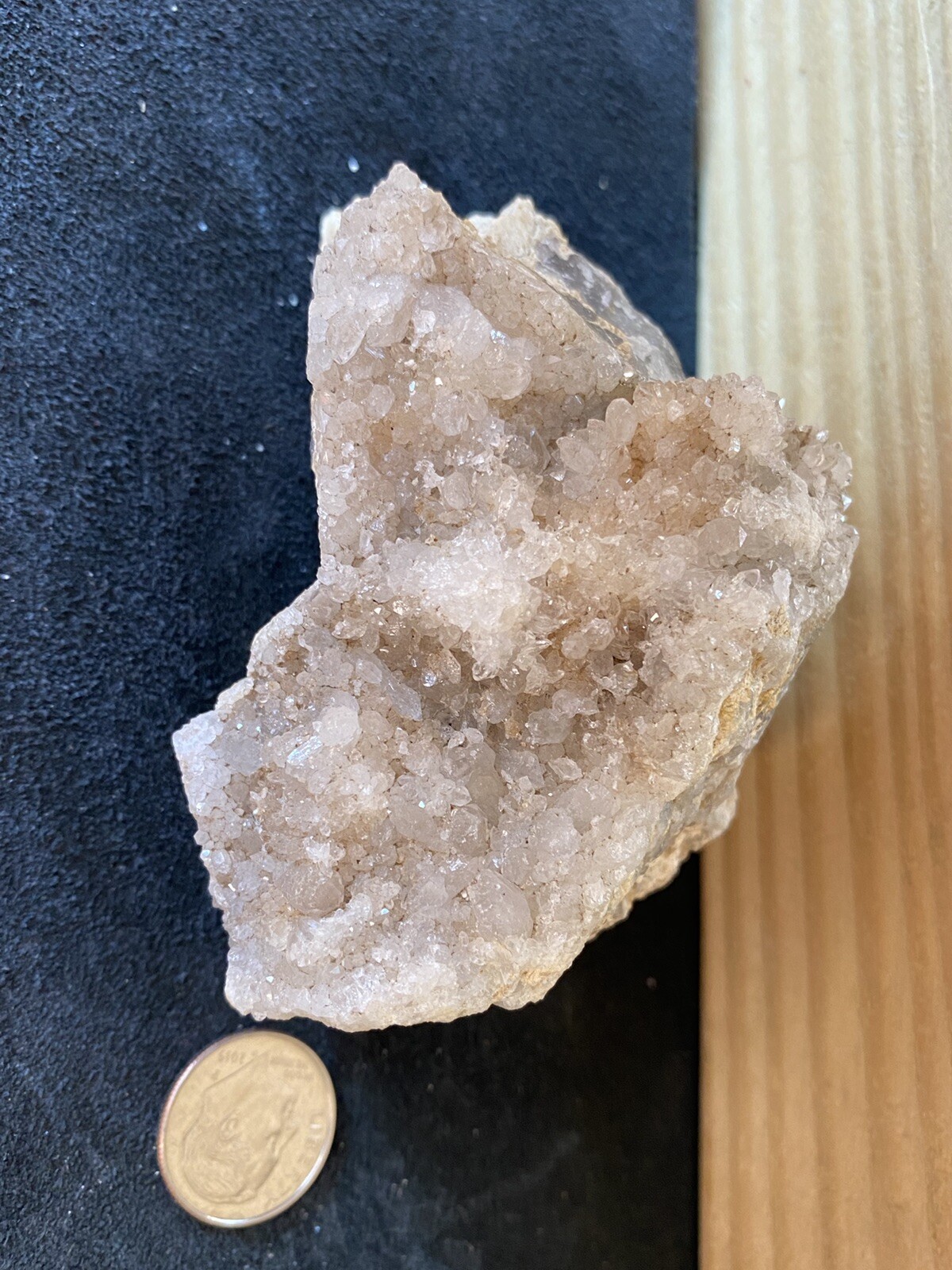 Picture 7 of 12