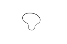 GM OEM 95-11 Aurora Cooling Water Pump-Water Pump Gasket 12600020