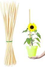 50 Pack 15 Inch Bamboo Plant Stakes, Plant Sticks Support, Floral Plant Support