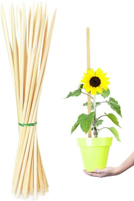 compostable planter Eco Square Fibre Biodegradable and Compostable Plant Pots (5cm)
