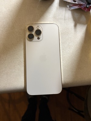 Apple iPhone 13 Pro Max Unlocked With Business/personal TikTok 256GB