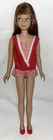 Vintage  Straight Legged Brunette SKIPPER DOLL in Original Swimsuit and ShoeMint