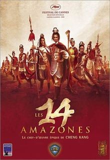Les 14 Amazones - Edition Collector 2 DVD von Chen Kang | DVD | Zustand sehr gut