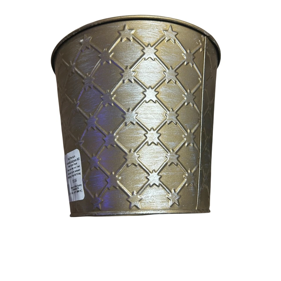 Conjunto de 5 macetas de hojalata con diseño de estrella metálica dorada plateada Foto 3 de 4