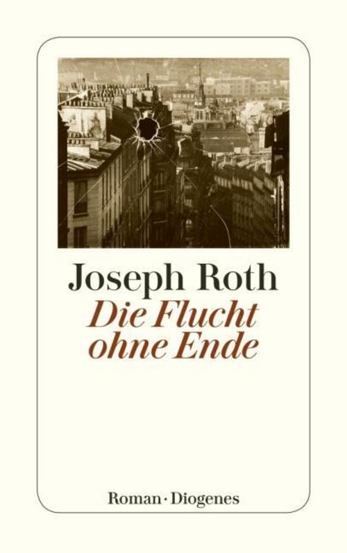 Diogenes Verlag Ag Flucht Ohne Ende - Bild 2