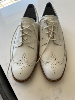 Ecco Spikeless Wingtip Golf Shoes Size 47
