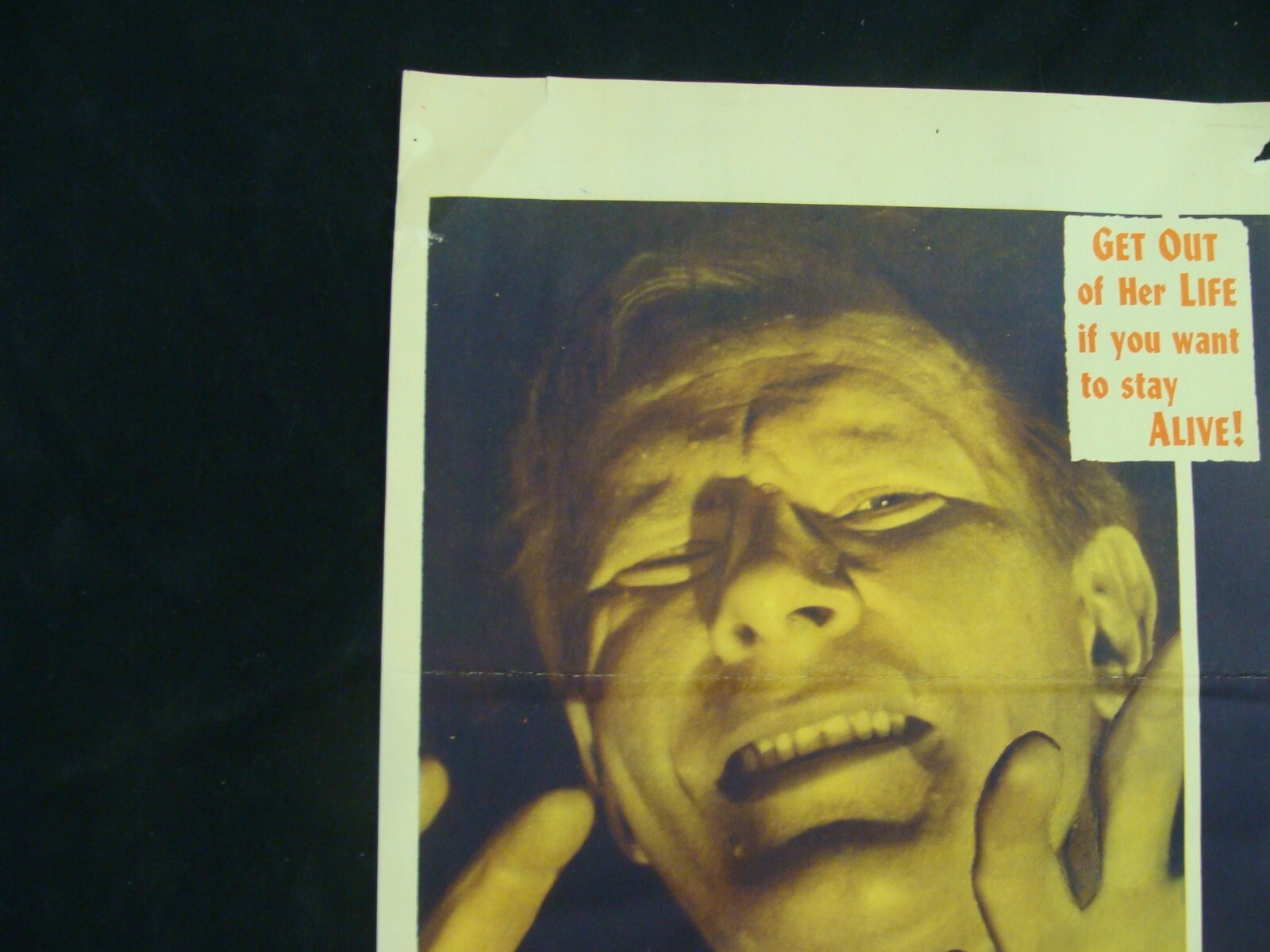Picture 3 of 11