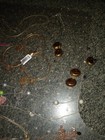 Imagen 4 de 6