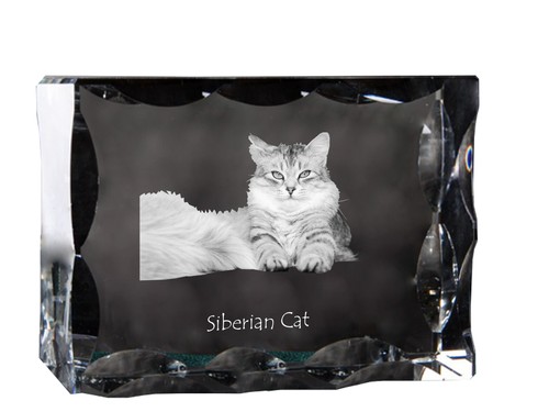 Sibirische Katze - Kristall mit Katzenbild, Glasstatuette mit Bild, einzigartige - 第 2/6 張圖片