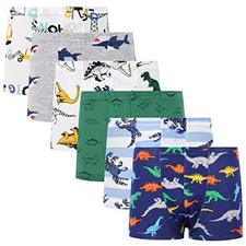 Boys Toddler Dinosaur Cotton Underwear Boxer Briefs 6 Pack 4T Grey
