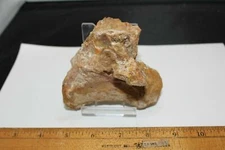 Crocodilian Vertebra 4" Dinosaur Fossil T Rex era Kem Kem Cretaceous MSP3 