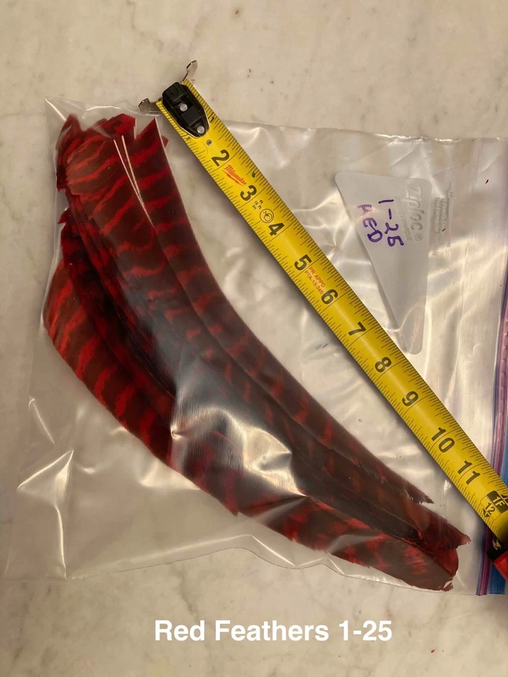 75 Fletching Feathers for Arrows #1 Ground base Purchased in 1965 read descripti - Image 4 of 4