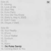 Sylvan Esso - No Rules Sandy Lp - Vinyl Record - G3Z