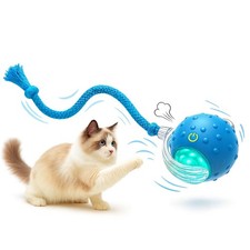 Interactive Cat Toy Ball for Indoor Cats   Fast Rolling on Carpet, Motion Act...
