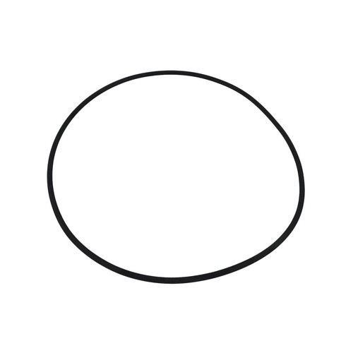 Tank Cartridge Filter Lid Oring For Astral Hurlcon ZX100 ZX150 ZX200