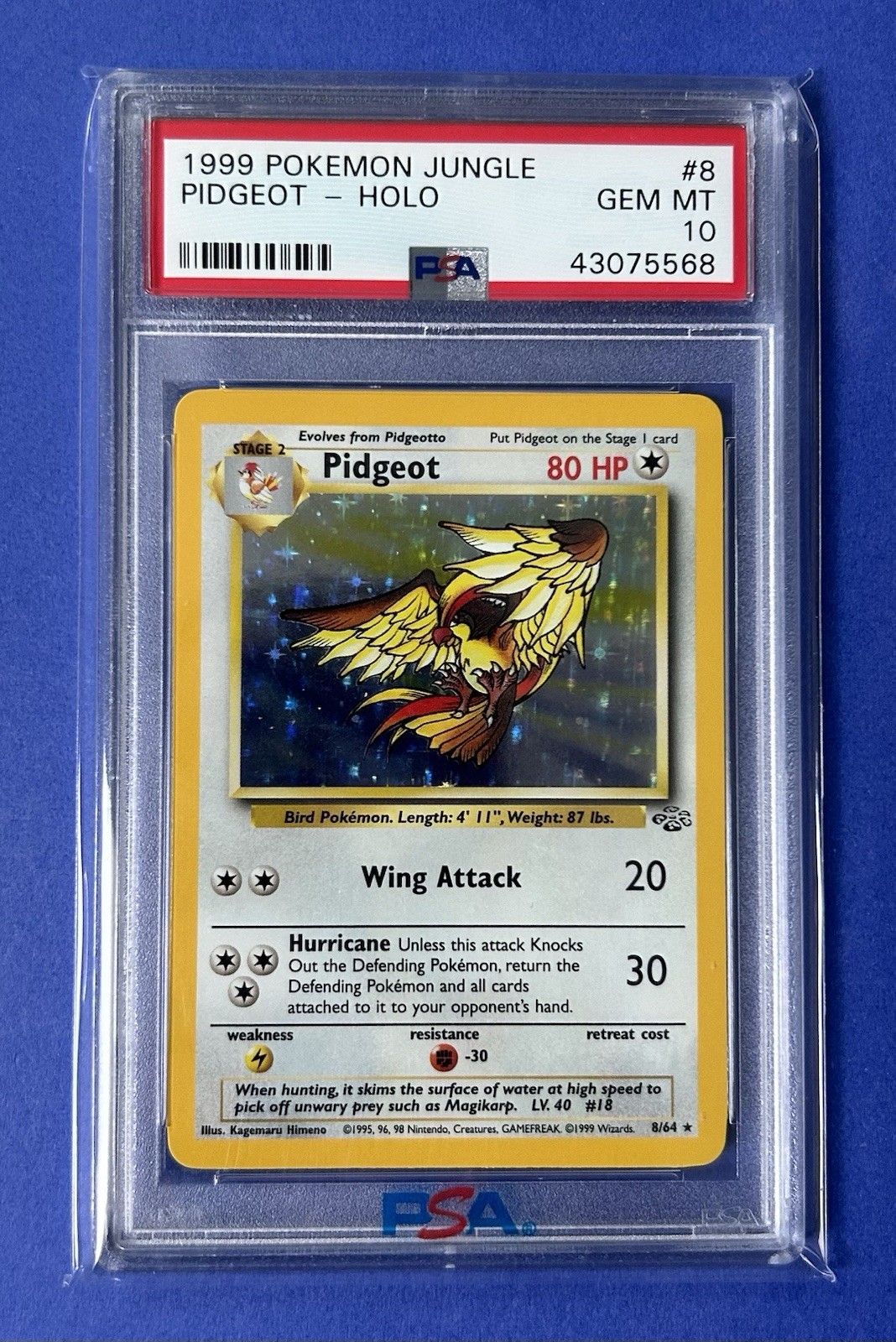 1999 Pokemon POKEMON JUNGLE Holo #8 Pidgeot-Holo front