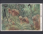 e5 WW2 Pacific War Solomon Islands campaign Japan military postcard Jungle