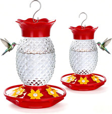 Glass Hummingbird Feeders for Outdoors Hanging Ant and Bee Proof 16OZ 2 Pack Cle