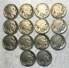 1928 P buffalo nickel roll of 14 full readable dates