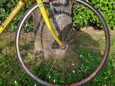 USED AS IS Vintage Tommasini Road Bike 52cm Columbus SLX Steel Dura-Ac