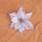 Foto 10 di 16