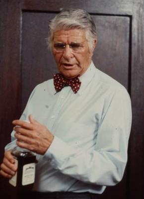 Jim Davis in the TV movie Don't Look Back The Story of Leroy Satch- Old Photo 6