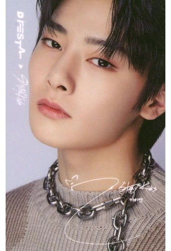 Card Single Aien Stray Kids Photo Ticket D Festa Tokyo Special Kit Included Item