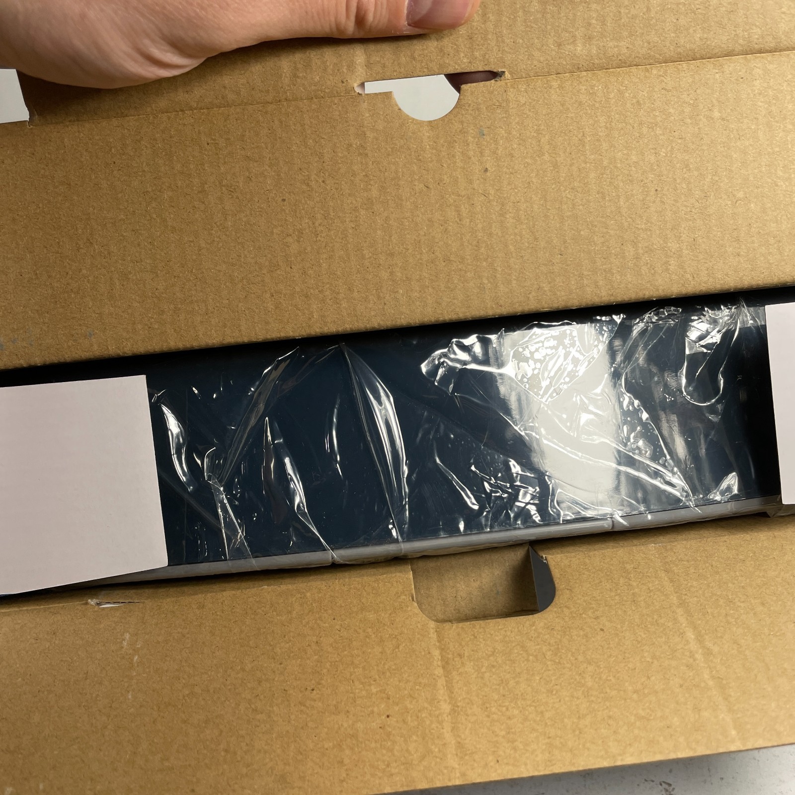 PetSafe Automatic Two Meal Feeder Dispenses Dog or Cat Food